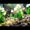 Amazing Nature Full HD 1080p :Time Lapse
